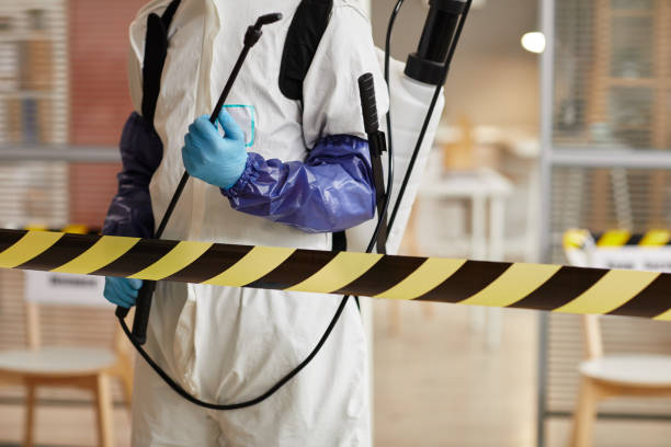 Professional Trauma Scene Cleanup technician working in Mountain Ranch, CA
